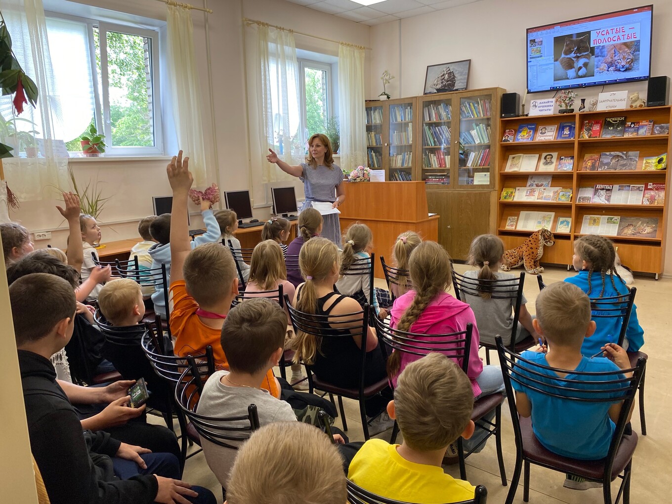 Усатые-полосатые | 11.06.2024 | Кировск - БезФормата